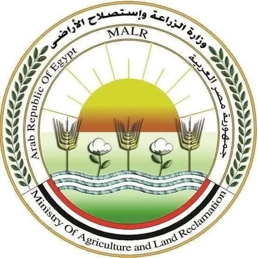 الزراعة: استقبلت المسالخ الحكومية أكثر من 34 ألف أضحية خلال العيد في كافة المحافظات الزراعة: استقبلت المسالخ الحكومية أكثر من 34 ألف أضحية خلال العيد في كافة المحافظات