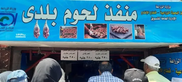 الزراعة تعرض كميات وفيرة من اللحوم المحلية بسعر 270 جنيهًا للكيلو. الزراعة تعرض كميات وفيرة من اللحوم المحلية بسعر 270 جنيهًا للكيلو.