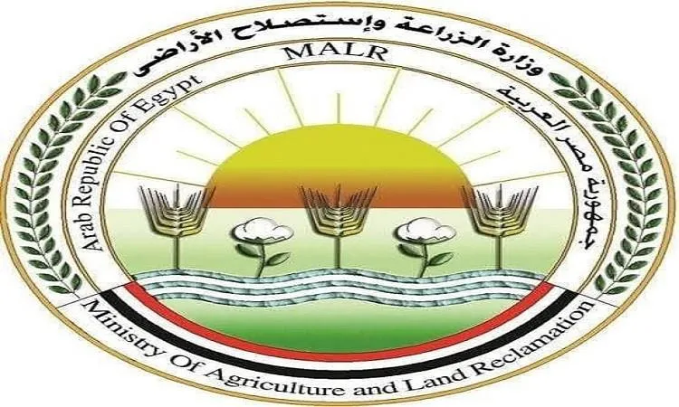 “الزراعة” تقدم ملخصاً عن جهود “الخدمات البيطرية” في مجال رعاية التناسل لدى الماشية “الزراعة” تقدم ملخصاً عن جهود “الخدمات البيطرية” في مجال رعاية التناسل لدى الماشية