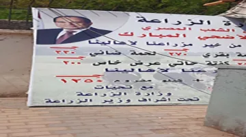 الزراعة: زيادة ملحوظة في شراء المواطنين للحوم عيد الأضحى من المنافذ المعروضة