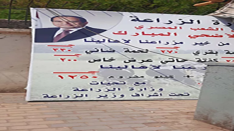 الزراعة: زيادة ملحوظة في شراء المواطنين للحوم عيد الأضحى من المنافذ المعروضة الزراعة: زيادة ملحوظة في شراء المواطنين للحوم عيد الأضحى من المنافذ المعروضة