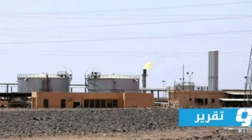 الزويتينة وآمنة في المقدمة: ما هو متوسط أسعار النفط الخام الليبي في عام 2024؟
