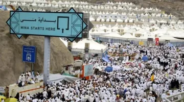 السعودية: أكثر من 94 ألف شخص شاركوا في تنظيم الحج هذا العام