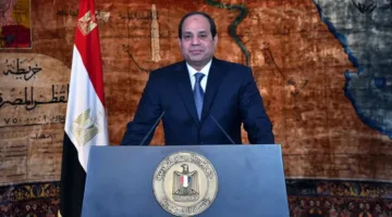 السيسي: لنرفض خطط تهجير الفلسطينيين خارج أراضيهم