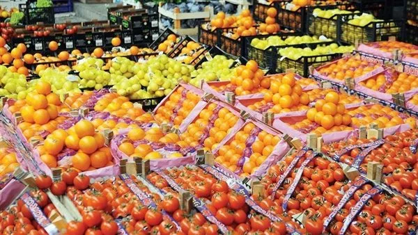 الصادرات الزراعية لمصر تصل إلى 4.8 مليون طن منذ بداية عام 2025 الصادرات الزراعية لمصر تصل إلى 4.8 مليون طن منذ بداية عام 2025