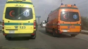 الصداقة وحدتهما والموت لم يفرق بينهما: قطار دشنا يقتل صديقين في قنا