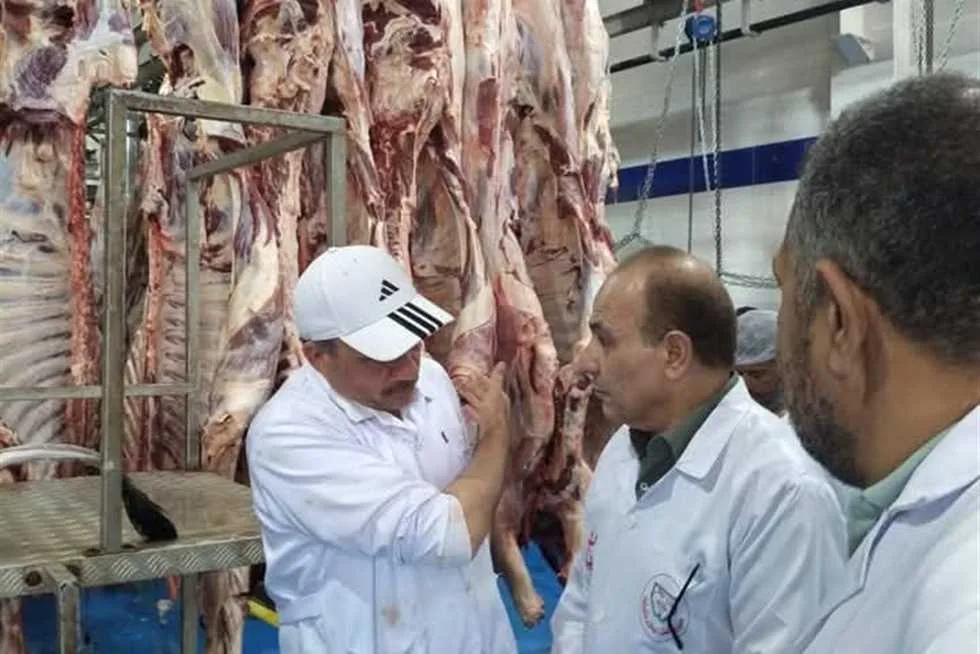 الطب البيطري بالشرقية: ذبح 1129 أضحية مجاناً في اليوم الأول من عيد الأضحى الطب البيطري بالشرقية: ذبح 1129 أضحية مجاناً في اليوم الأول من عيد الأضحى
