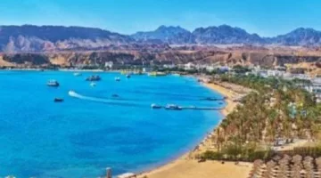 “الغرف السياحية”: جذب المؤثرين الأمريكيين يعزز مكانة مصر كوجهة سياحية مميزة