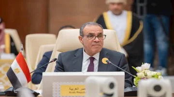 القاهرة وبكين تتناولان تعزيز الاستثمارات والتعاون في المسائل الإقليمية.