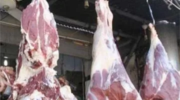 المجازر الآلية في أسوان تستقبل 808 أضاحي في اليوم الثاني من العيد