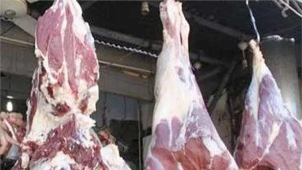 المجازر الآلية في أسوان تستقبل 808 أضاحي في اليوم الثاني من العيد