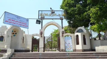 المركز الوطني لثقافة الطفل يحيي عيد الأضحى في السيدة زينب والهرم