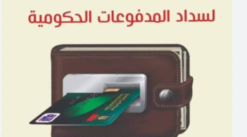 المركزى: 41 مليون بطاقة “ميزة” متاحة في السوق المصري بحلول نهاية سبتمبر 2024