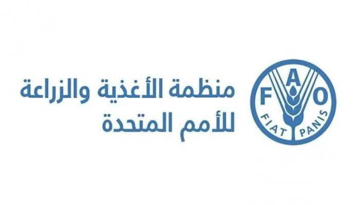 المنظمة العالمية للغذاء: 35% من احتياطي الأسماك في العالم يتعرض للصيد غير المستدام المنظمة العالمية للغذاء: 35% من احتياطي الأسماك في العالم يتعرض للصيد غير المستدام