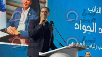 النائب أحمد عبد الجواد: نحن دعم للجيش والشرطة والرئيس السيسي في مواجهة جميع التحديات