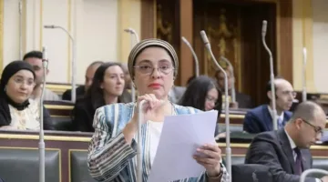 النائبة سمر الجزار: قافلة الصمود تمثل رسالة إنسانية مناهضة للاحتلال ويجب على الدولة استقبالها بحفاوة.
