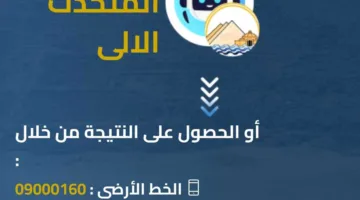 النتائج الدراسية لصفوف النقل في المرحلة الابتدائية بمحافظة الجيزة عبر المساعد الذكي (البوابة الرسمية)