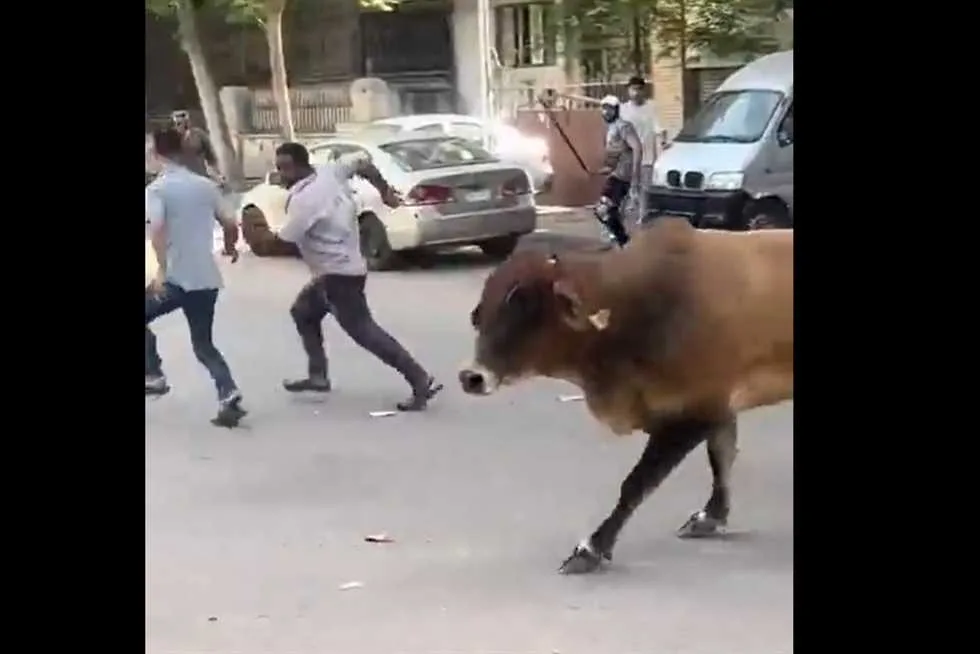«الهروب العجول» يتصدر الترند في وقت مبكر.. «فقرتي المفضلة خلال العيد» (فيديوهات)