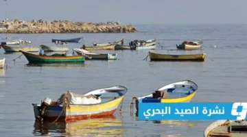 الهيئة العامة للأرصاد الجوية: توقعات بضباب خفيف الليلة على سواحل طبرق