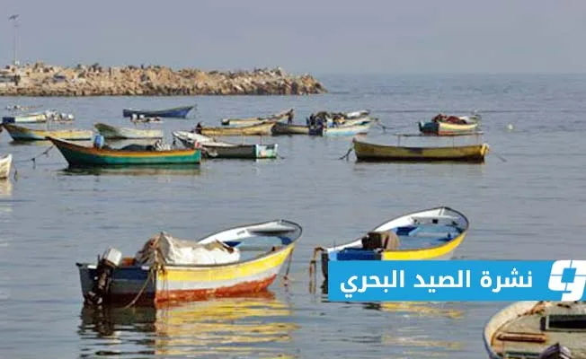 الهيئة العامة للأرصاد الجوية: توقعات بضباب خفيف الليلة على سواحل طبرق الهيئة العامة للأرصاد الجوية: توقعات بضباب خفيف الليلة على سواحل طبرق