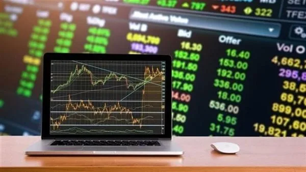 الهيئة المالية تقود التحول الرقمي في القطاع غير المصرفي.. خبير: تقدم كبير في التحقيقات والمصادقات الإلكترونية الهيئة المالية تقود التحول الرقمي في القطاع غير المصرفي.. خبير: تقدم كبير في التحقيقات والمصادقات الإلكترونية