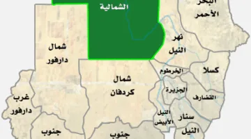 شيراز حجازي: “احتفلنا بالعيد بسهولة ويسر”