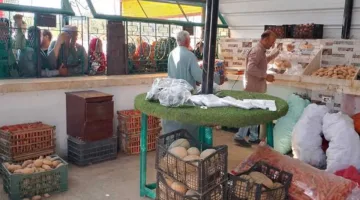 ببيع الخضراوات والفواكه بأسعار مخفضة عبر نقاط ثابتة ومتنقلة في الوادي الجديد