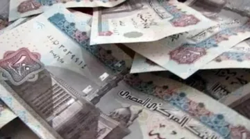بتكلفة 12 مليون جنيه: وزارة الداخلية تلاحق تجار العملات