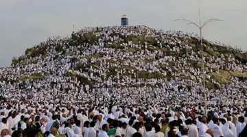 بث مباشر من جبل عرفات: تغطية لحظية لأداء الحجاج لركن الحج الأهم