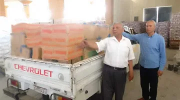 بدون مستندات مالية.. ضبط 2200 «خرطوشة» سجائر خلال حملات تفتيش في الشرقية