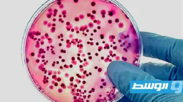 بريطانيا تسجل أعلى معدل تاريخي لإصابات التيفوئيد وتُحذّر من سلالات مقاومة جديدة.