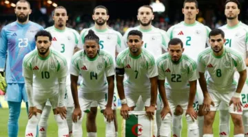 بسبب مباراة السويد.. عبدلي يوجه رسائل قوية لنجوم الجزائر