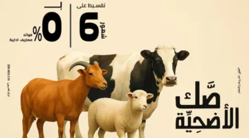 بطاقات الائتمان من بنك مصر تقدم إمكانية تقسيط “صك الأضحية” على مدى 6 أشهر بلا فوائد