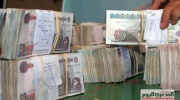 بعد التحديثات الأخيرة.. أعلى معدل فوائد على شهادات ادخار البنك الأهلي لعام 2025