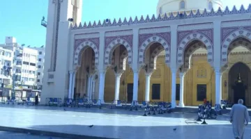 بعد عطلة العيد.. محافظ الغربية يراقب جهود تنظيف المراكز والمدن