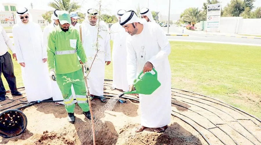 بلدية دبا الحصن تزرع شجر الغاف لدعم الاستدامة البيئية بلدية دبا الحصن تزرع شجر الغاف لدعم الاستدامة البيئية