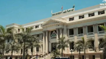 بموجب قرار رئاسي.. تجديد تعيين الدكتورة مروة مصطفى عميدة لكلية التمريض بجامعة بنها