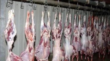 “بيطري الدقهلية”: رصد 37 انتهاكًا لذبح الأضاحي خارج المسالخ