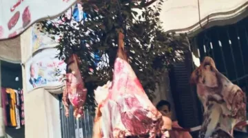 «بيع لحم الضأن بسعر 330 جنيهاً في المجمعات الاستهلاكية بالمنيا»