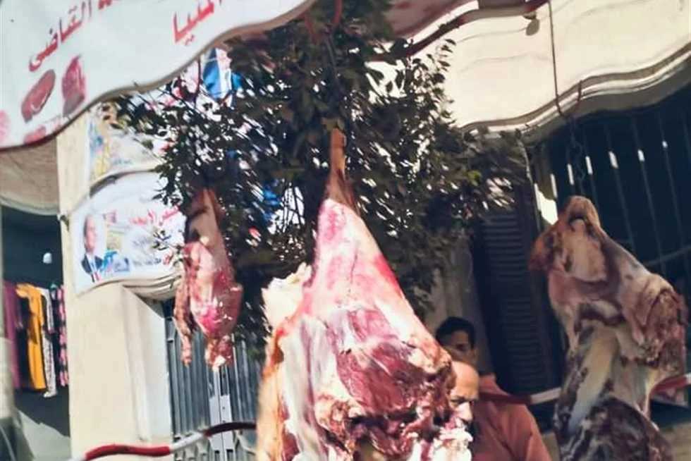 «بيع لحم الضأن بسعر 330 جنيهاً في المجمعات الاستهلاكية بالمنيا» «بيع لحم الضأن بسعر 330 جنيهاً في المجمعات الاستهلاكية بالمنيا»