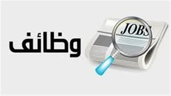 تأمين اجتماعي وصحي.. وزارة العمل تضيف 200 فرصة جديدة في قطاع التمويل تأمين اجتماعي وصحي.. وزارة العمل تضيف 200 فرصة جديدة في قطاع التمويل