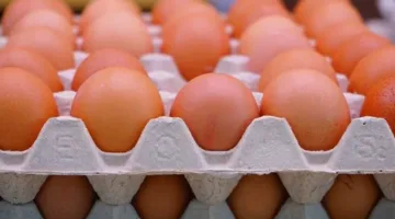 تحديث أسعار البيض والدجاج في أسواق الأقصر يوم الاثنين 9 يونيو 2025