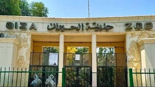 تحديث تاريخي لحديقة الحيوان.. افتتاح منتظر يعيد للأذهان ذكريات الأعياد المصرية تحديث تاريخي لحديقة الحيوان.. افتتاح منتظر يعيد للأذهان ذكريات الأعياد المصرية