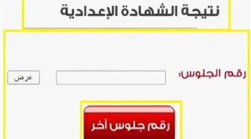 تحقق الآن من نتائج الصف الثالث الإعدادي في الجيزة والقاهرة والمحافظات عبر بوابة التعليم الأساسي