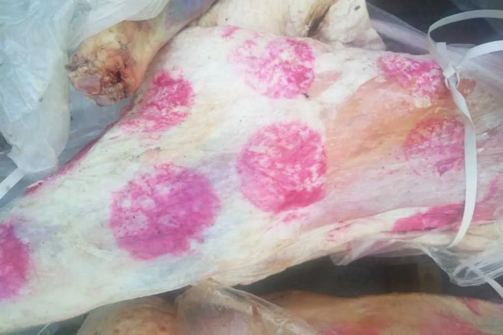 تحقيق في غش تجاري: ضبط محل جزارة في الإسكندرية يبيع لحوم مجمدة على أنها محلية تحقيق في غش تجاري: ضبط محل جزارة في الإسكندرية يبيع لحوم مجمدة على أنها محلية