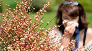 تحوّر “نيمبوس” يثير قلق الأطباء.. كورونا يتخفى تحت مسمّى الحساسية الموسمية
