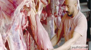«تحيا مصر»: بدء توزيع لحوم الأضاحي لأكثر من 1.5 مليون مواطن اعتباراً من الغد