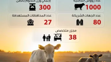 «تحيا مصر» ينال استفادة 1.5 مليون شخص من لحوم الأضاحي للأسر الأكثر احتياجاً (إنفوجراف)