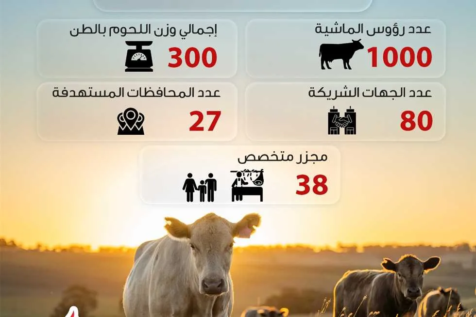 «تحيا مصر» ينال استفادة 1.5 مليون شخص من لحوم الأضاحي للأسر الأكثر احتياجاً (إنفوجراف)