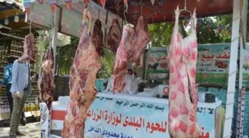 تخفيضات 20% على اللحوم البلدية والأضاحي الحية في مراكز الزراعة استعدادًا لعيد الأضحى